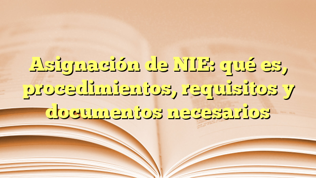 Asignación de NIE: qué es, procedimientos, requisitos y documentos necesarios