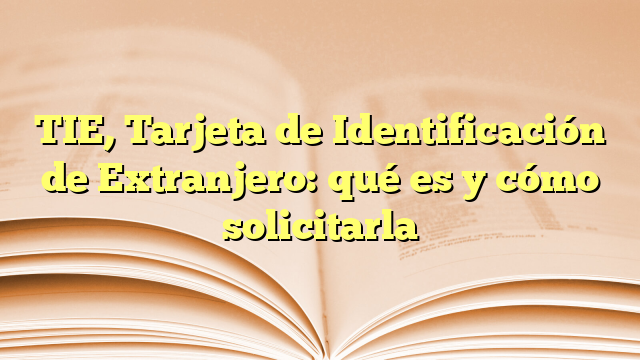 TIE, Tarjeta de Identificación de Extranjero: qué es y cómo solicitarla